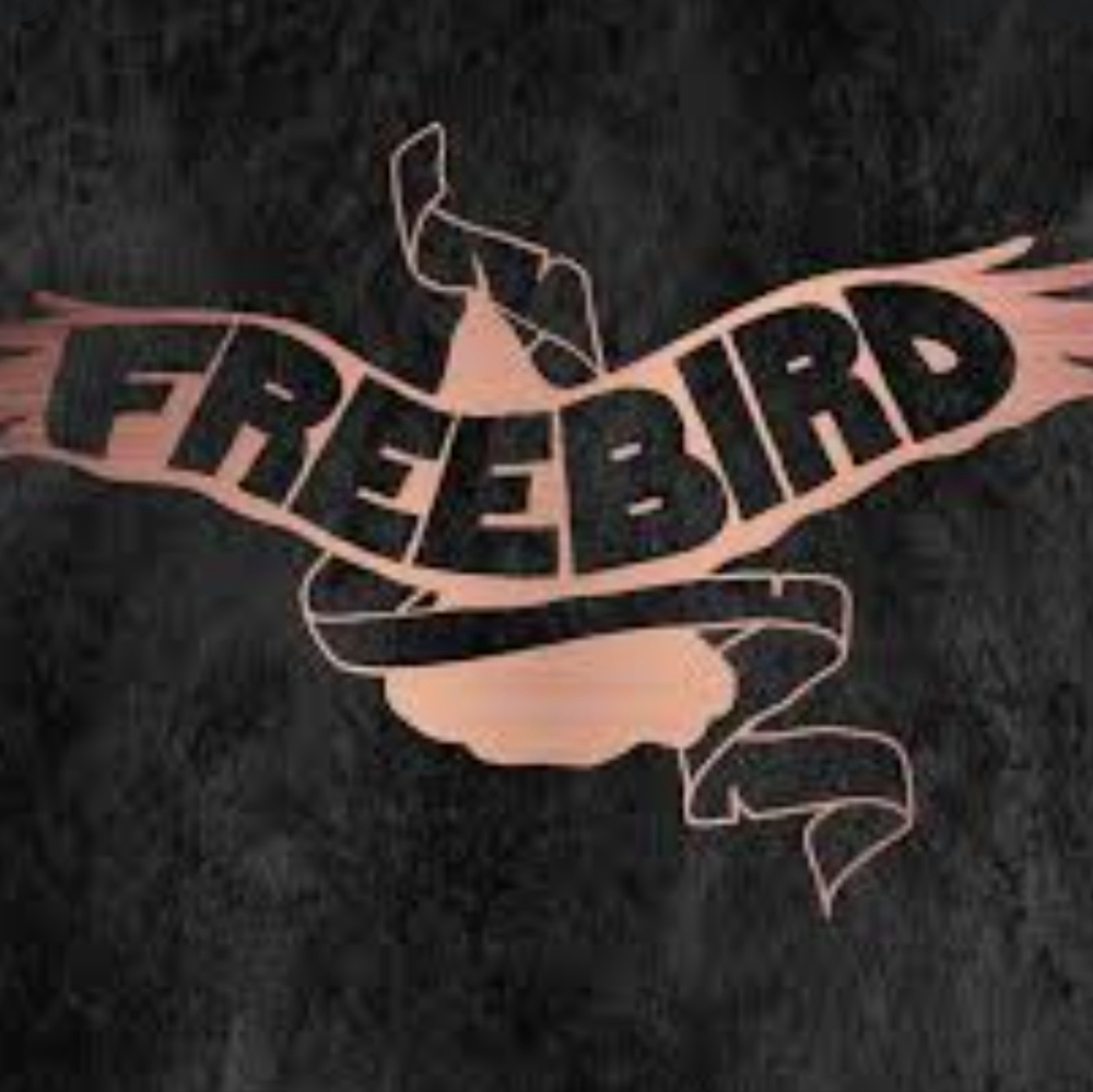 FreeBird Size Chart - Picture 3 of 3
